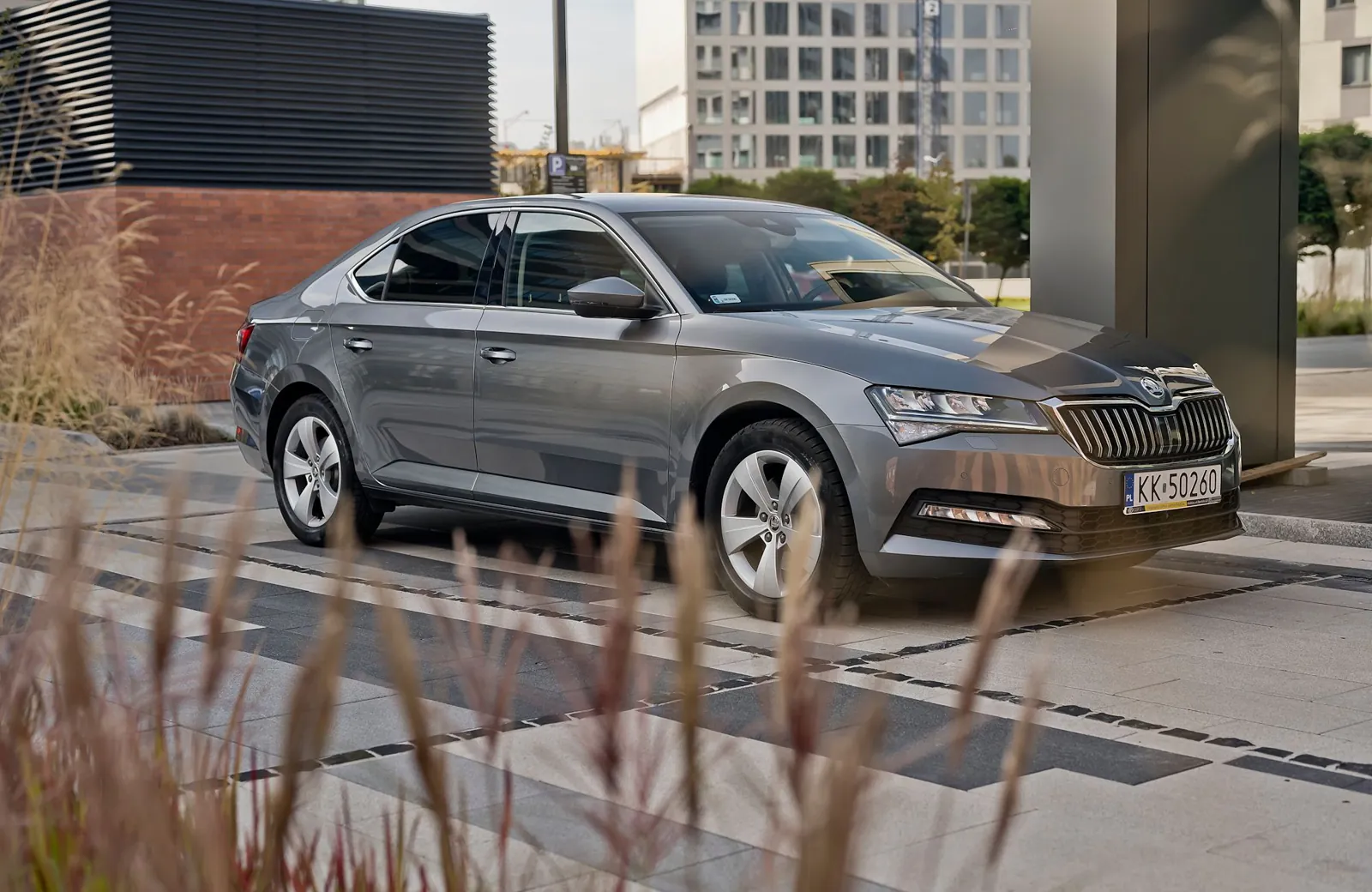 Škoda Superb zaparkowana wśród traw na wiejskiej drodze