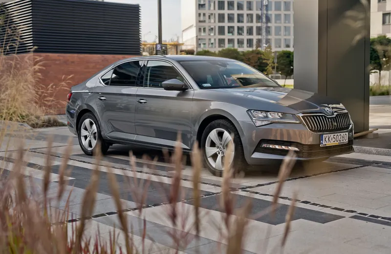 Škoda Superb from the ANSCars fleet parked by ornamental grasses
